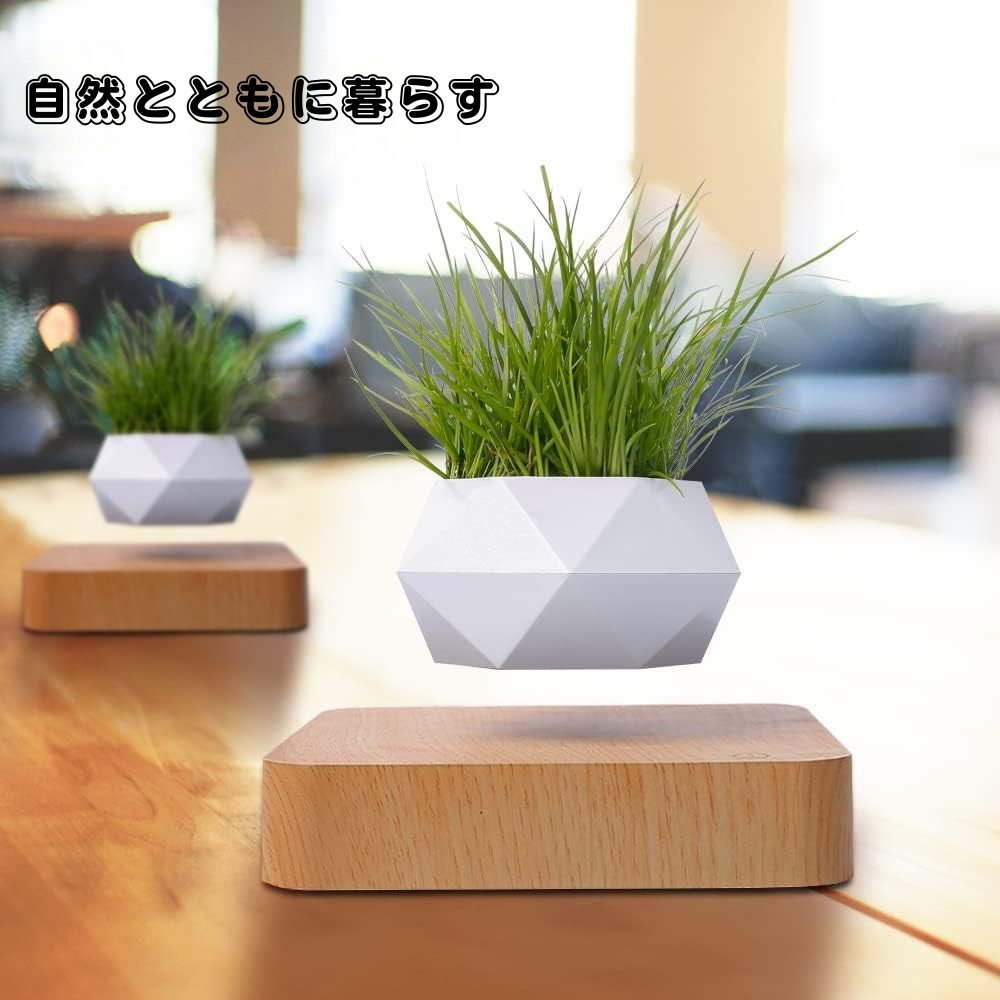 Air Bonsai™