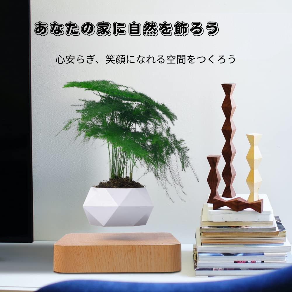 Air Bonsai™