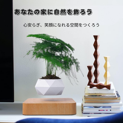 Air Bonsai™