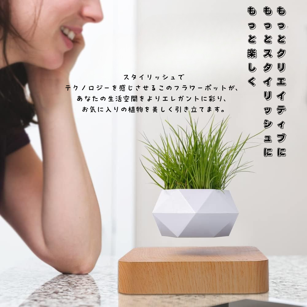 Air Bonsai™