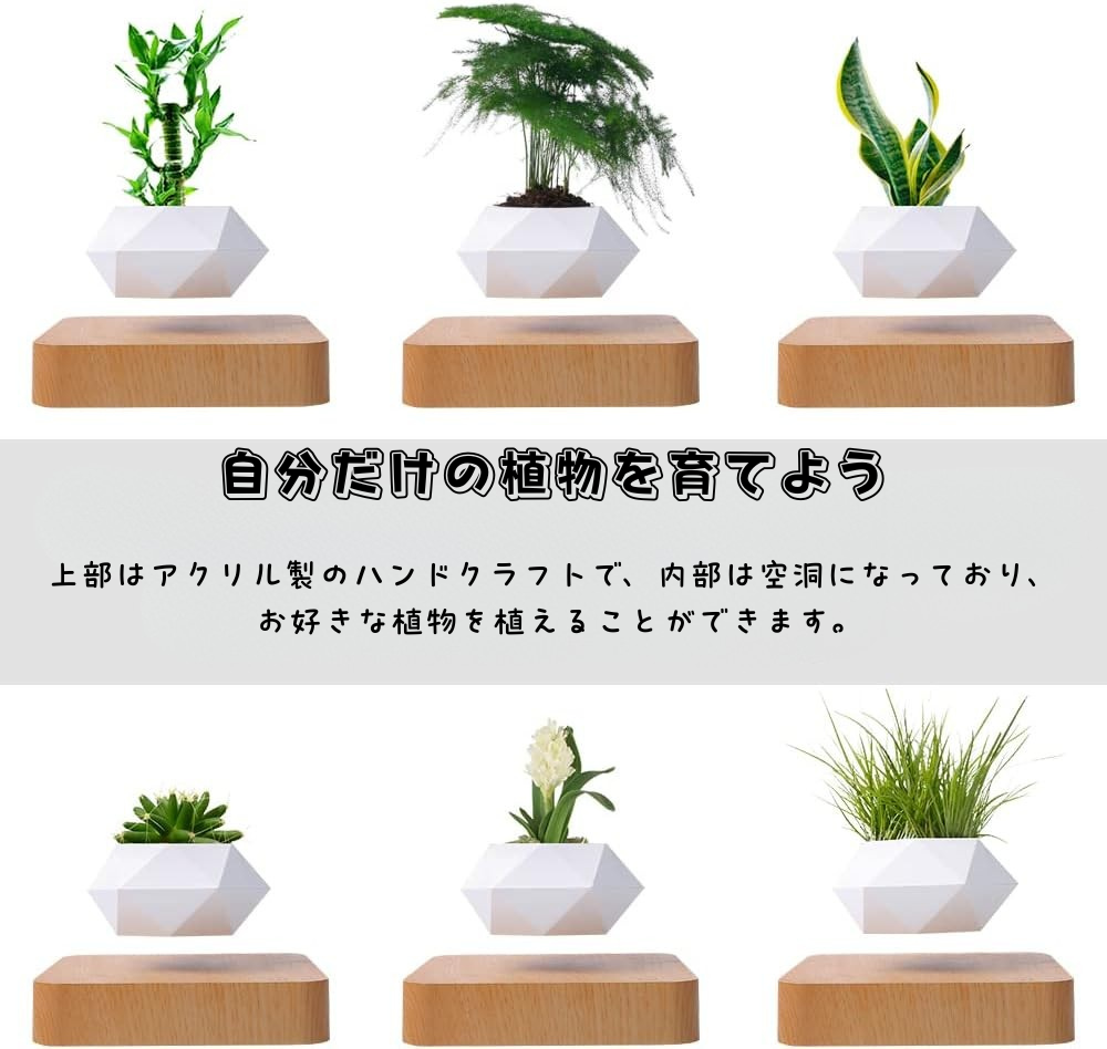 Air Bonsai™