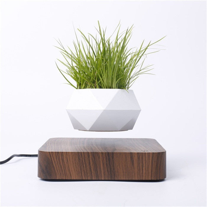 Air Bonsai™