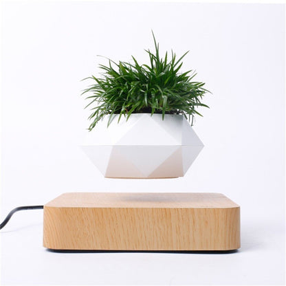 Air Bonsai™