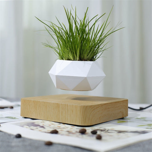 Air Bonsai™
