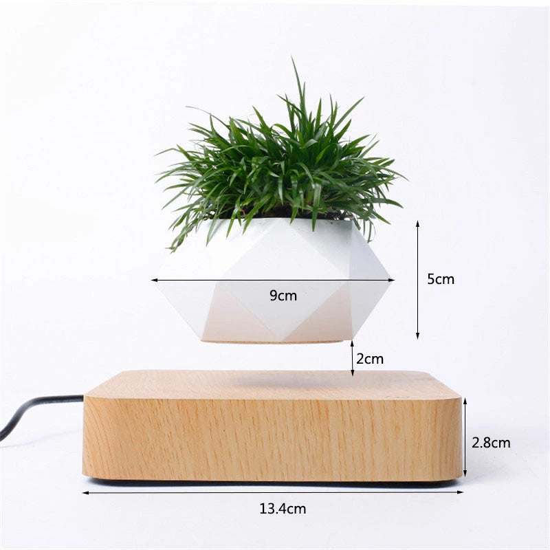Air Bonsai™